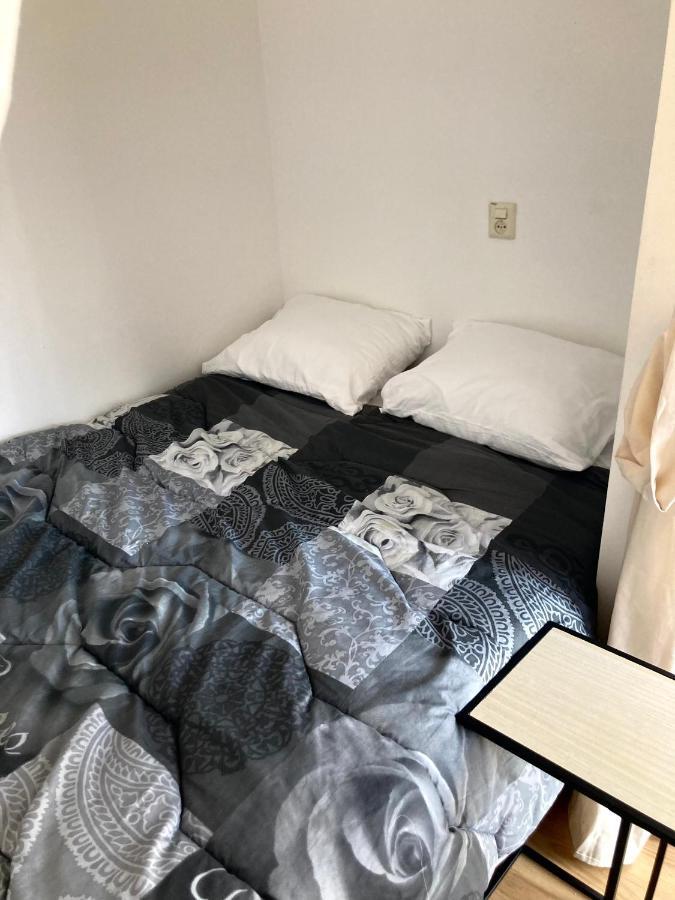 赞德沃特Beach House Hollywood公寓 外观 照片